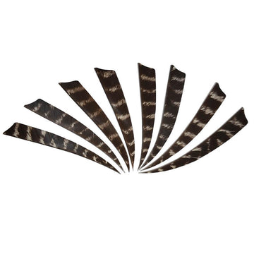 50x 4"/5" Shield Natural Barred Feathers