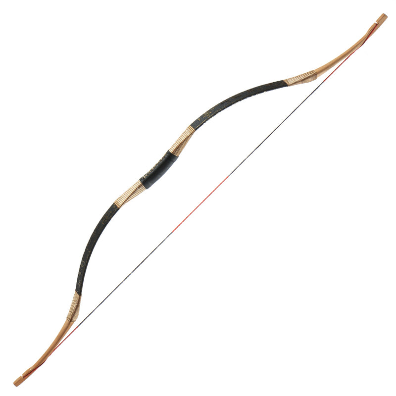 Types of Archery Bows//Recurve, Compound, Barebow//Beginner Archery (양궁/ 활  종류) 